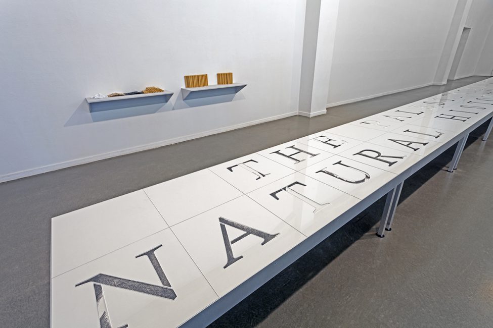 In this issue, 2015, installation view, Kunsthaus Hamburg, Hamburg, Germany
