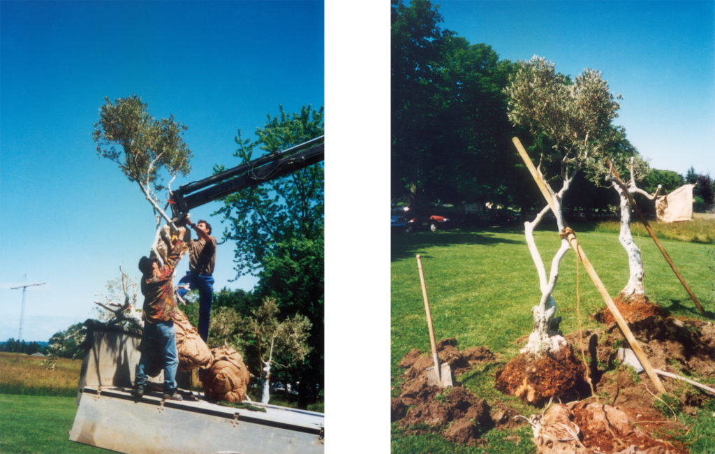 Grafting, 1995, installation view. Ariana Park , Geneva Switzerland