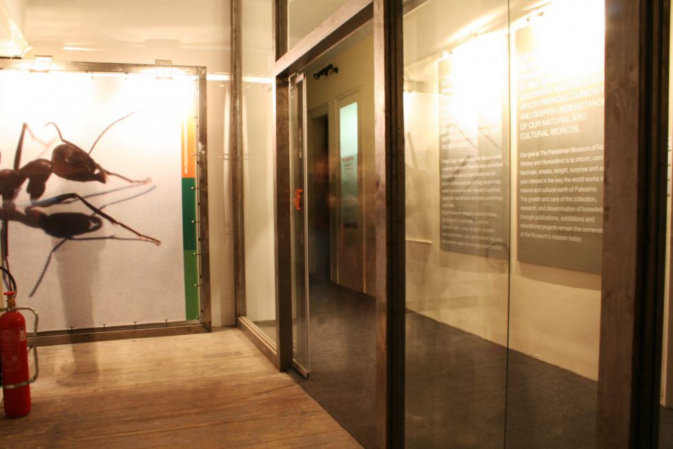 Palestine before Palestine, 2005, installation view. 9th Istanbul Biennial, Istanbul, Turkey