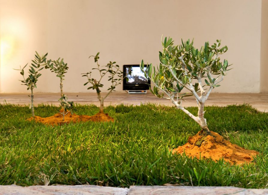 After 12 Years, 2008, installation view. Jerusalem Show 2011, Jerusalem, Palestine