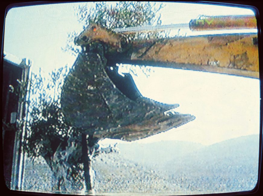 Grafting ,1995, video stills, Ramallah, Palestine