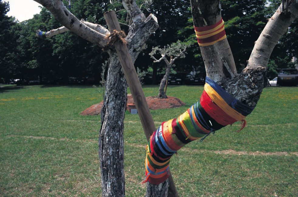 Grafting, 1995, installation view. Ariana Park , Geneva Switzerland