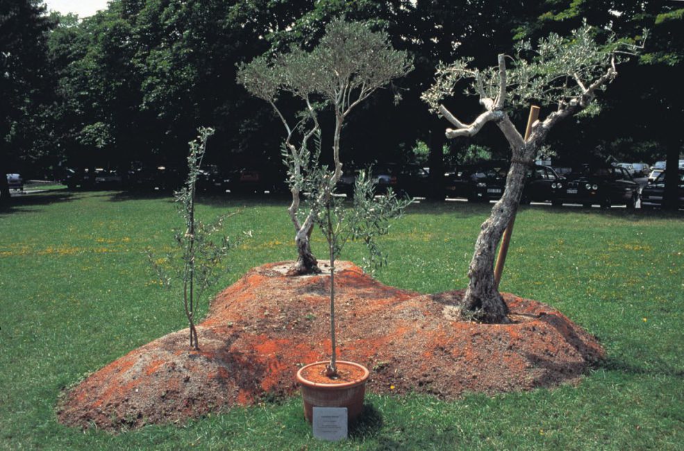 Grafting, 1995, installation view. Ariana Park , Geneva Switzerland