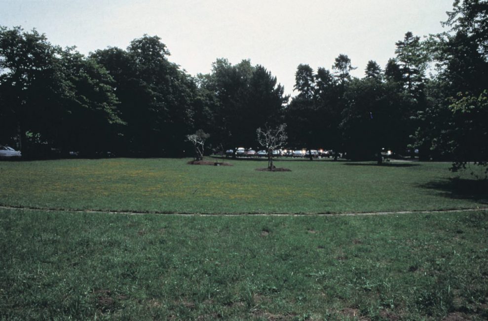 Grafting, 1995, installation view. Ariana Park , Geneva Switzerland