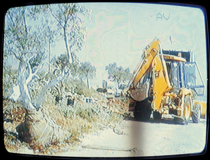 Grafting ,1995, video stills, Ramallah, Palestine