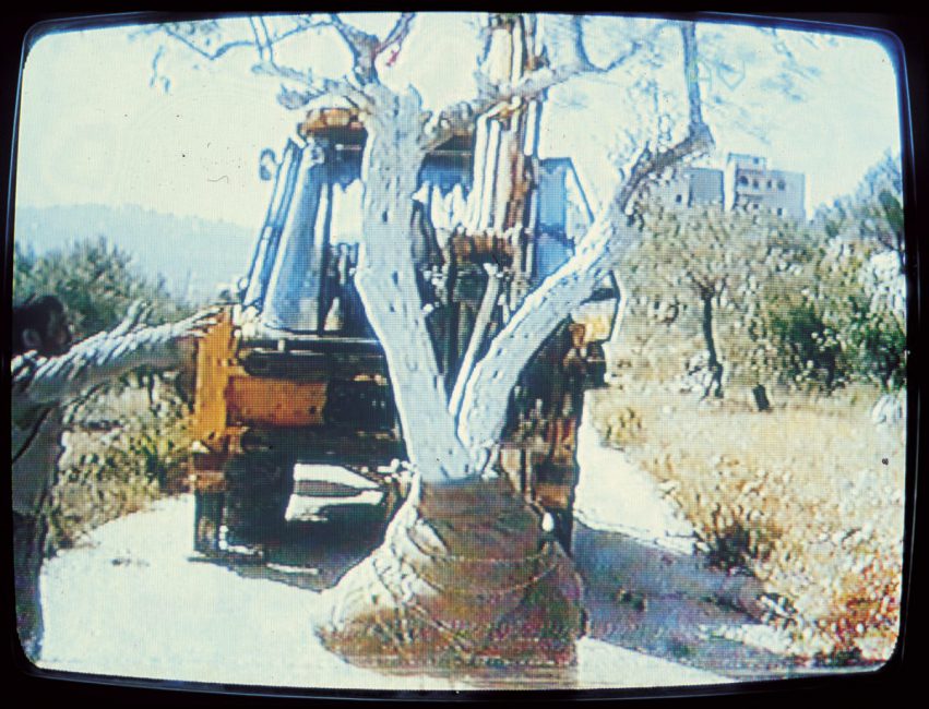 Grafting ,1995, video stills, Ramallah, Palestine