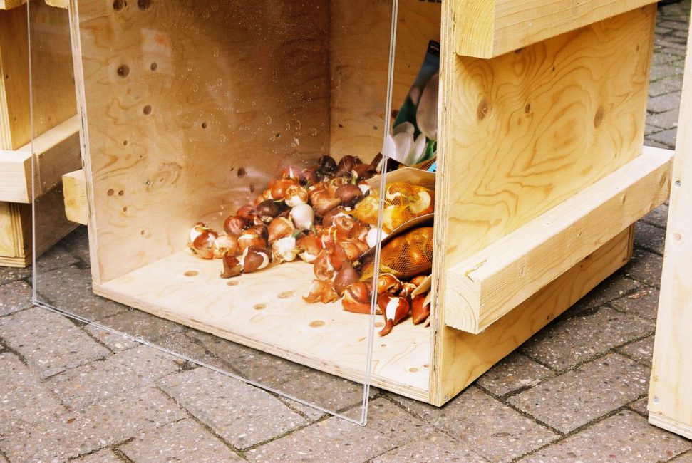 Tulips in Palestine, 2006, installation view. De Apple, Amsterdam, Holland