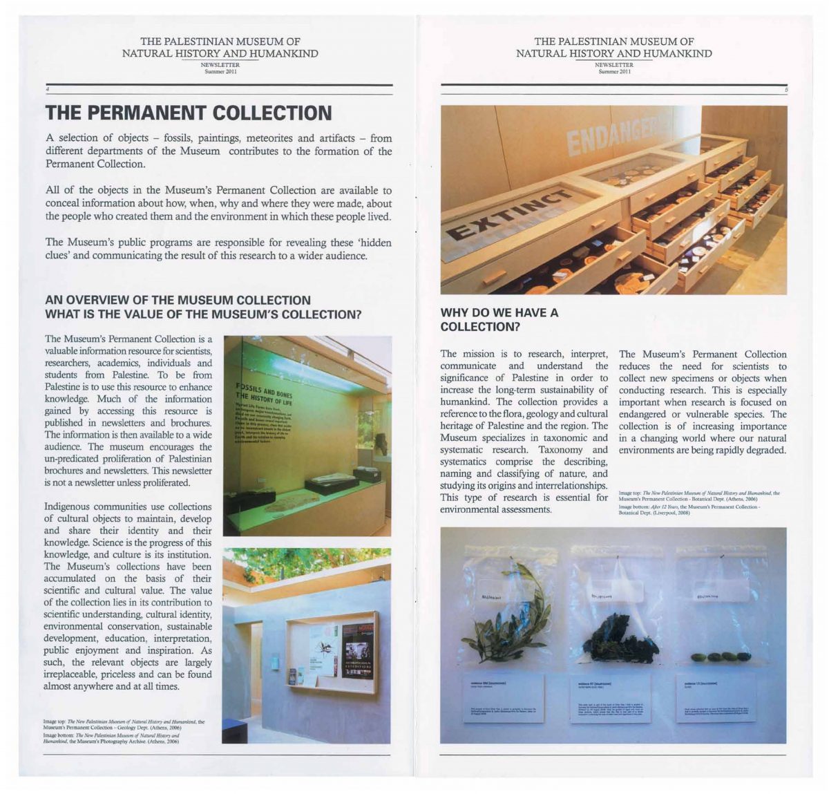 Newsletter 2011